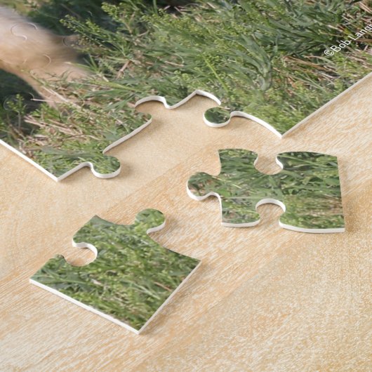 Bob Langrish | Miniatuur Foal Walking Legpuzzel (Zijkant)