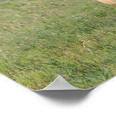 Bob Langrish | Miniatuur Foal Walking Poster (Hoek)