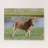 Bob Langrish | Miniatuur Pony Legpuzzel (Horizontaal)