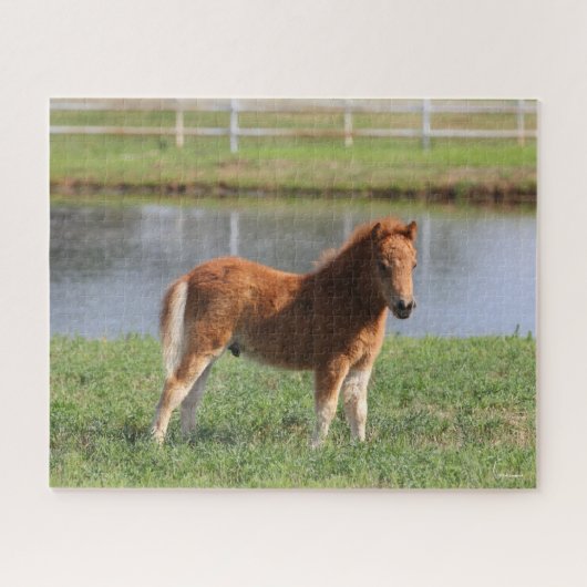 Bob Langrish | Miniatuur Pony Legpuzzel (Horizontaal)