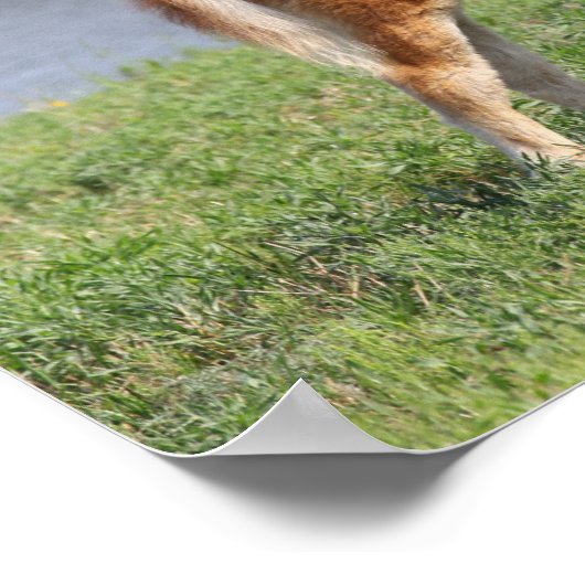 Bob Langrish | Miniatuur Pony Poster (Hoek)