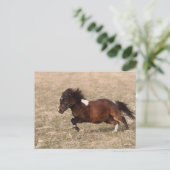 Bob Langrish | Miniatuursnelle Pony Briefkaart (Staand voorkant)