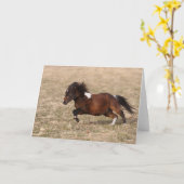 Bob Langrish | Miniatuursnelle Pony Kaart (Gele Bloem)