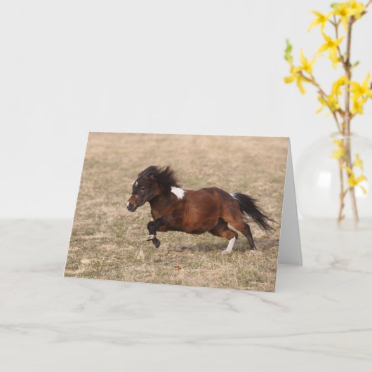 Bob Langrish | Miniatuursnelle Pony Kaart (Gele Bloem)