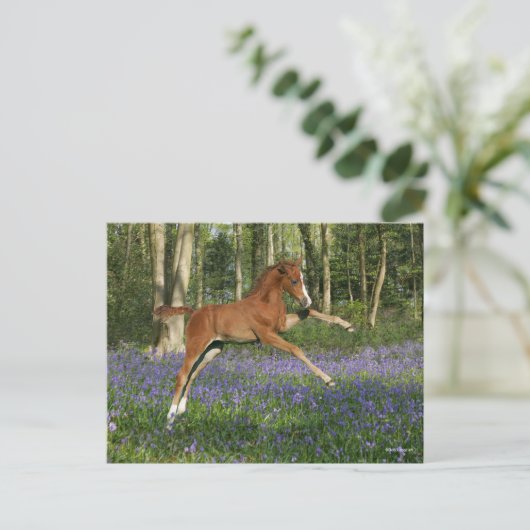 Bob Langrish | Morgan Foal Leaping With Bluebells Briefkaart (Staand voorkant)