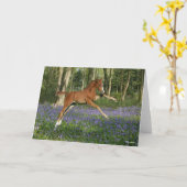 Bob Langrish | Morgan Foal Leaping With Bluebells Kaart (Gele Bloem)