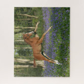 Bob Langrish | Morgan Foal Leaping with Bluebells Legpuzzel (Verticaal)