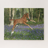 Bob Langrish | Morgan Foal Leaping with Bluebells Legpuzzel (Horizontaal)