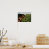 Bob Langrish | Morgan Horse Headshot Flows Mane Poster (Keuken)