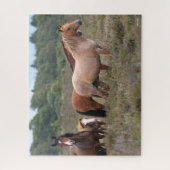 Bob Langrish | Nieuwe bospondennen en -vijvers Legpuzzel (Verticaal)