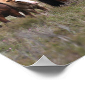 Bob Langrish | Nieuwe bospondennen en -vijvers Poster (Hoek)