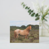 Bob Langrish | Nieuwe Pony in de bosbouw Briefkaart (Staand voorkant)