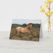 Bob Langrish | Nieuwe Pony in de bosbouw Kaart (Gele Bloem)