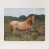 Bob Langrish | Nieuwe Pony in de bosbouw Legpuzzel (Horizontaal)