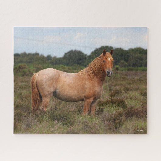 Bob Langrish | Nieuwe Pony in de bosbouw Legpuzzel (Horizontaal)