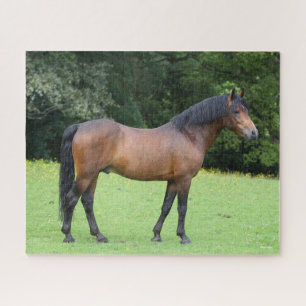 Bob Langrish Nieuwe Pony Legpuzzel