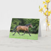 Bob Langrish | Nieuwe Pony Stallion Kaart (Gele Bloem)