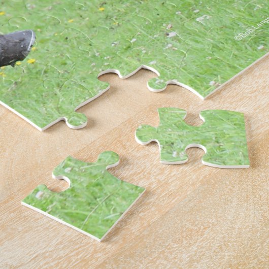 Bob Langrish | Nieuwe Pony Stallion Legpuzzel (Zijkant)