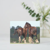 Bob Langrish | Paarden die achteraan lopen Briefkaart (Staand voorkant)