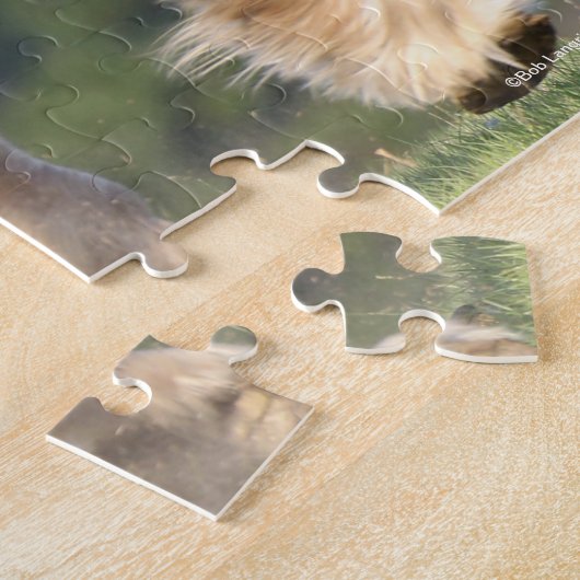 Bob Langrish | Paarden die achteraan lopen Legpuzzel (Zijkant)