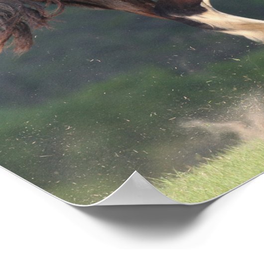 Bob Langrish | Paarden die achteraan lopen Poster (Hoek)