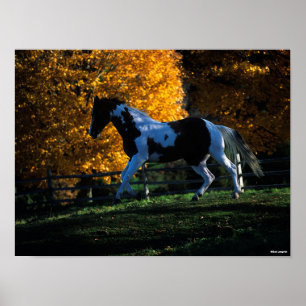 Bob Langrish   Paarden die in de herfst van de ver Poster