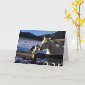 Bob Langrish | Paarden en katten in de sneeuw Kaart (Gele Bloem)