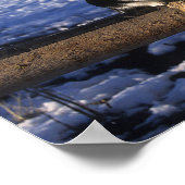 Bob Langrish | Paarden en katten in de sneeuw Poster (Hoek)