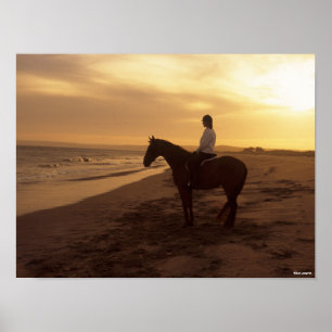 Bob Langrish Paarden op strand bij zonsondergang Poster