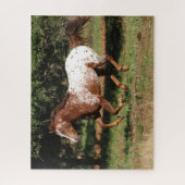 Bob Langrish | Paarden van Appaloosa Legpuzzel (Verticaal)
