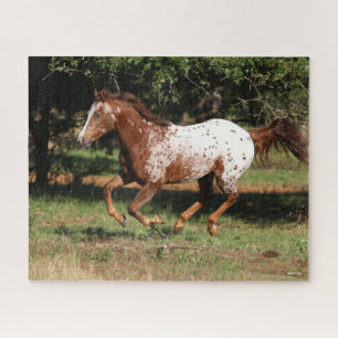 Bob Langrish Paarden van Appaloosa Legpuzzel