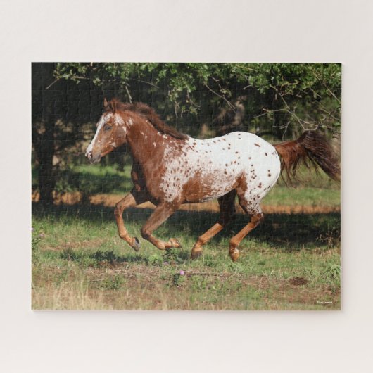 Bob Langrish | Paarden van Appaloosa Legpuzzel (Horizontaal)