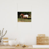 Bob Langrish | Paarden van Appaloosa Poster (Keuken)