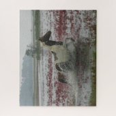 Bob Langrish | Paarden van de Chinese coteague die Legpuzzel (Verticaal)