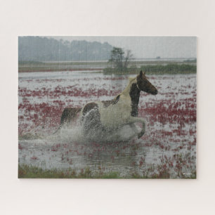 Bob Langrish Paarden van de Chinese coteague die Legpuzzel