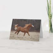 Bob Langrish | Paarden van oververf lopen Kaart (Voorkant)