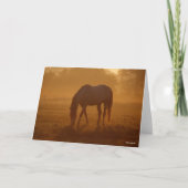 Bob Langrish | Paardengrazing Zonnegestijg Kaart (Voorkant)