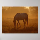 Bob Langrish | Paardengrazing Zonnegestijg Poster (Voorkant)