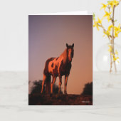 Bob Langrish | Paardrijsverf op zonsondergang Kaart (Gele Bloem)