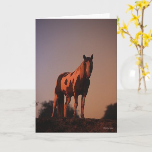 Bob Langrish | Paardrijsverf op zonsondergang Kaart (Gele Bloem)