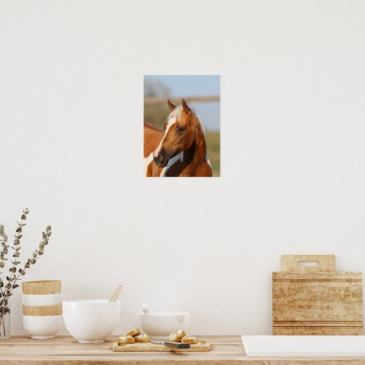 Bob Langrish | Paint Horse headshot Poster (Keuken)