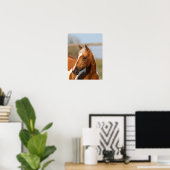 Bob Langrish | Paint Horse headshot Poster (Thuiskantoor)