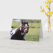 Bob Langrish | Paint Horse Stallion Flehmen Kaart (Gele Bloem)