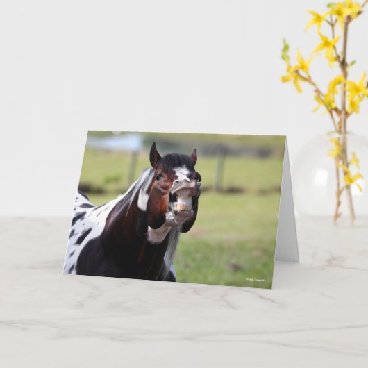 Bob Langrish | Paint Horse Stallion Flehmen Kaart (Gele Bloem)