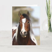 Bob Langrish | Paint Stallion Headshot Kaart (Voorkant)