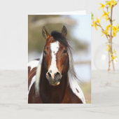 Bob Langrish | Paint Stallion Headshot Kaart (Gele Bloem)