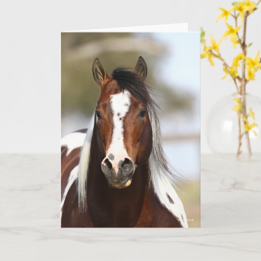 Bob Langrish | Paint Stallion Headshot Kaart (Gele Bloem)