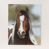 Bob Langrish | Paint Stallion Headshot Legpuzzel (Verticaal)