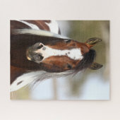 Bob Langrish | Paint Stallion Headshot Legpuzzel (Horizontaal)