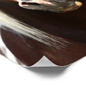 Bob Langrish | Paint Stallion Headshot Poster (Hoek)